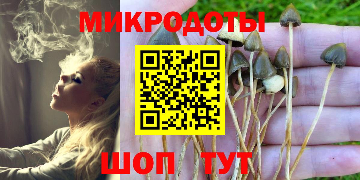 Галлюциногенные грибы мицелий  магазин    Вход с VPN  Ачхой-Мартан  Псилоцибиновые грибы мицелий 